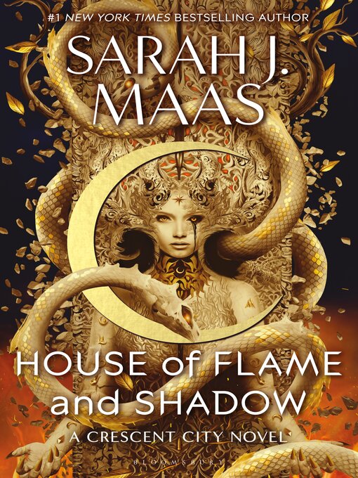 Couverture de House of Flame and Shadow